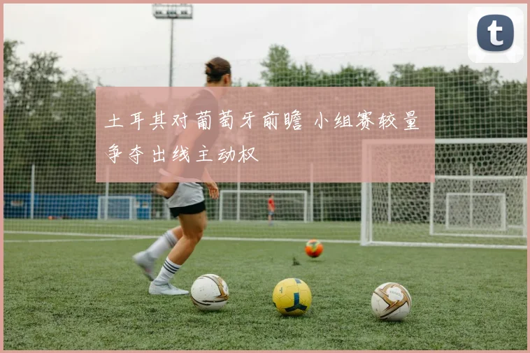 土耳其对葡萄牙前瞻 小组赛较量 争夺出线主动权