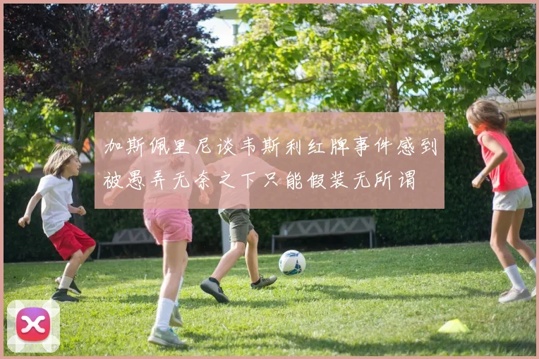 加斯佩里尼谈韦斯利红牌事件感到被愚弄无奈之下只能假装无所谓