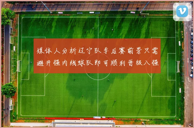 媒体人分析辽宁队季后赛前景只需避开强内线球队即可顺利晋级八强